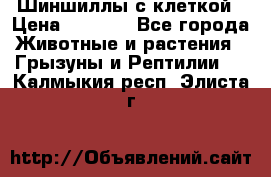 Шиншиллы с клеткой › Цена ­ 8 000 - Все города Животные и растения » Грызуны и Рептилии   . Калмыкия респ.,Элиста г.